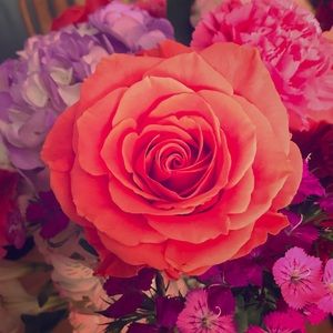 Meet your Posher, Cheryl